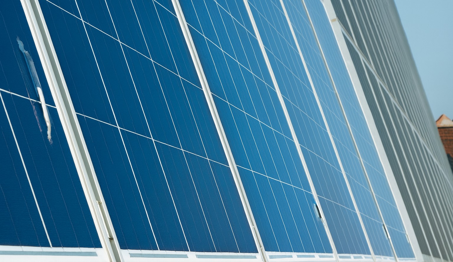 Blick auf eine Reihe von Photovoltaik-Modulen, an denen einzelne Röhrchen befestigt sind, die sich kaum vom Modul abheben
